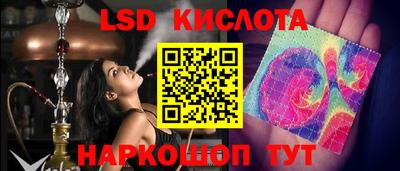 амф Гатчина