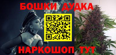 амф Гатчина