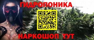 амф Гатчина