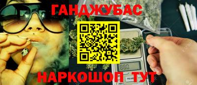 амф Гатчина