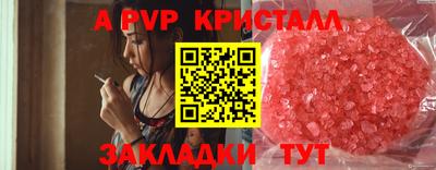 амф Гатчина