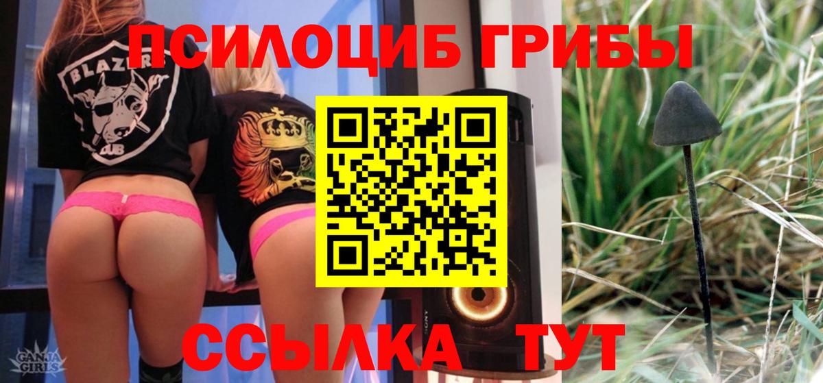 Псилоцибиновые грибы прущие грибы Октябрьский